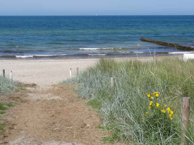 Ahrenshoop Strandbergan Blaues Grass