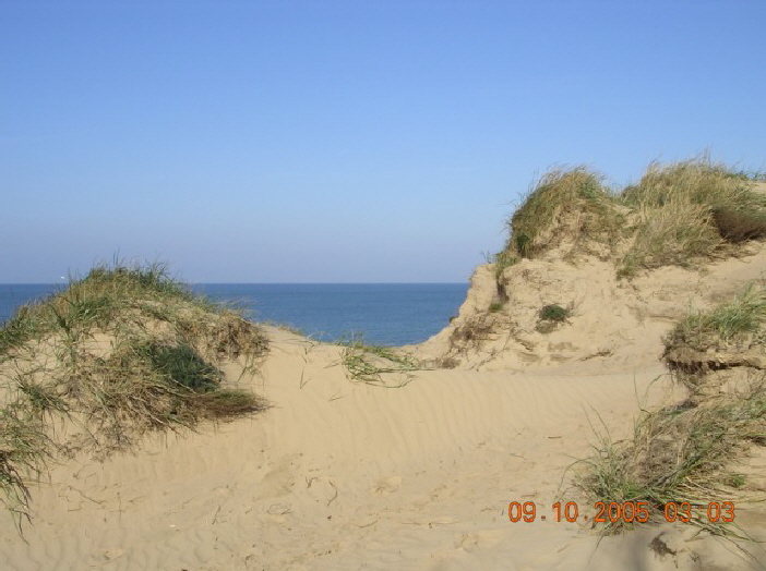 Ahrenshoop Steilkste