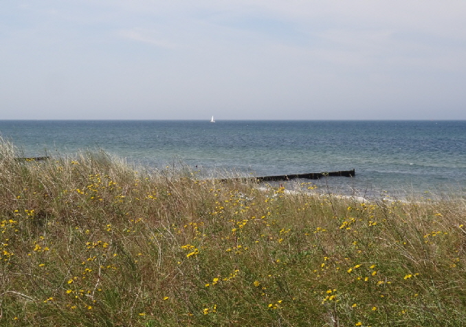 Ahrenshoop Wiese und meer