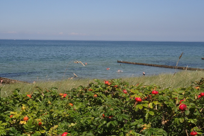 Ahrenshoop bunter meerblick
