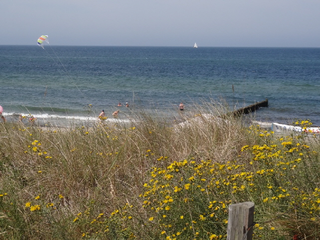 Ahrenshoop jeder Blick ein Gemlde