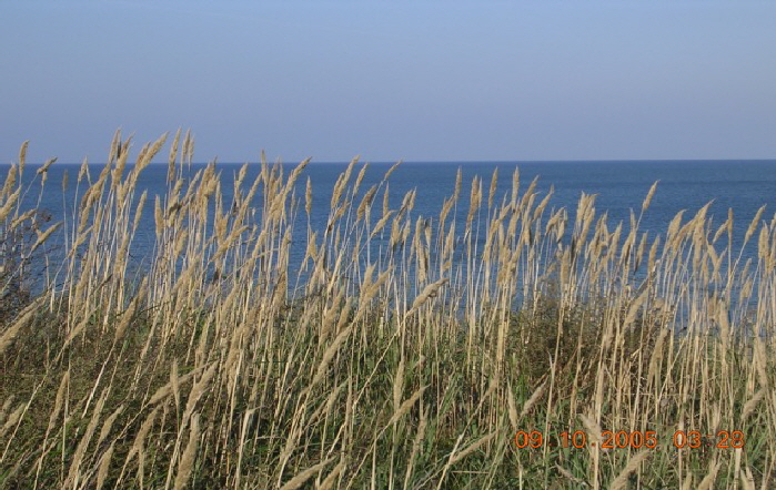 Ahrenshoop ostsee Heinz Klein