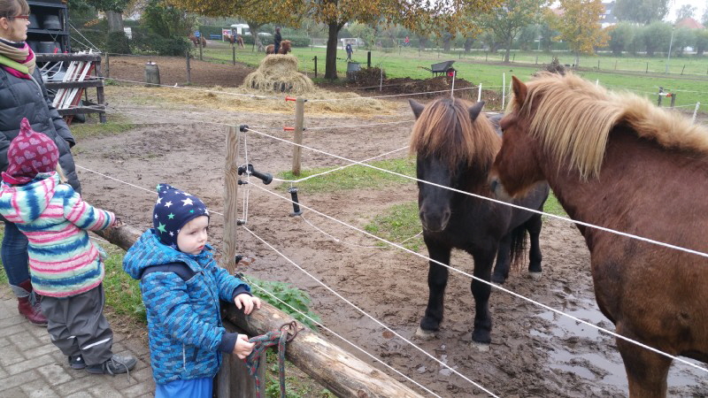 Ahrenshoop Ahrenshoop 3