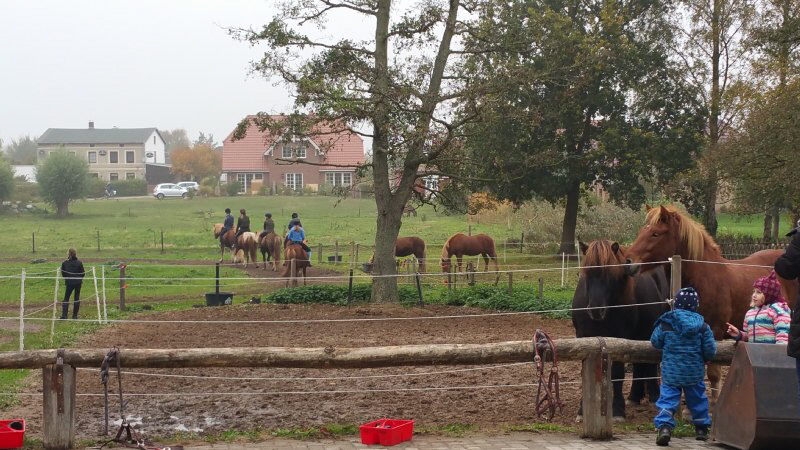 POnyhof Ahrenshoop 2